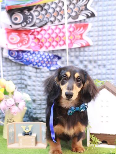 20230509ロイくん